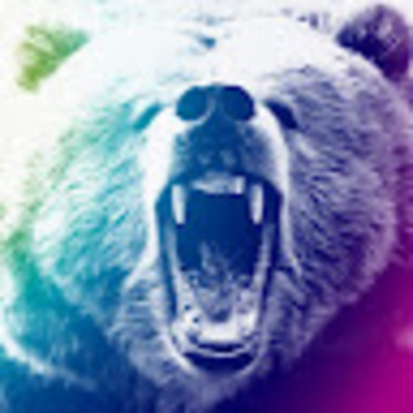 Meet your Posher, Bear - Picture 1 of 1